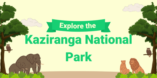 Kaziranga National Park